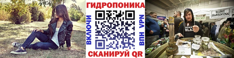 Галлюциногенные грибы Дагестанские Огни