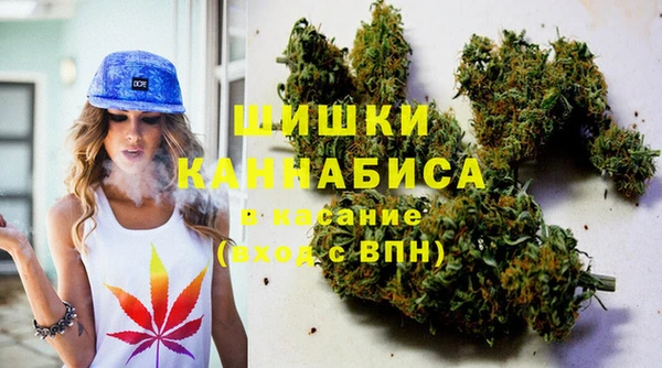 mdpv Бородино