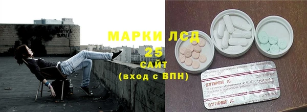 mdpv Бородино