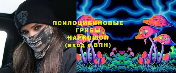 МДПВ Бугульма