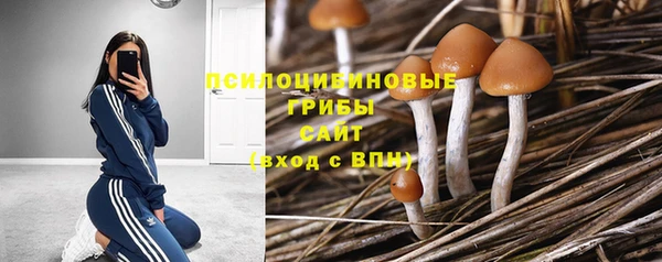 молекула духа Верея