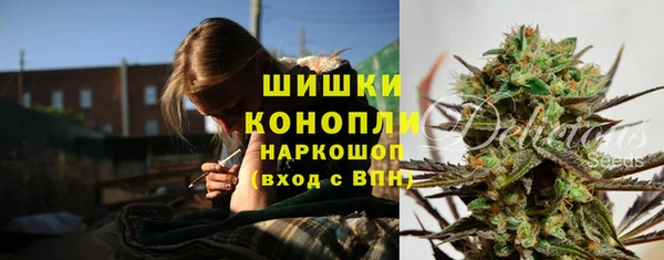 mdpv Бородино